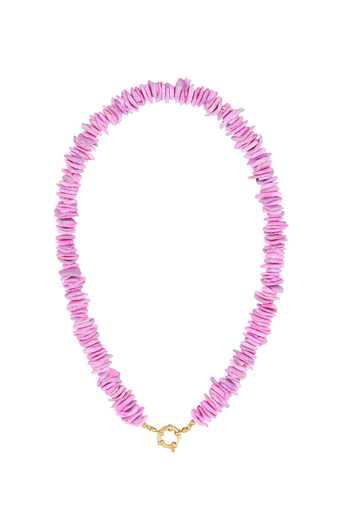Seashell Necklace