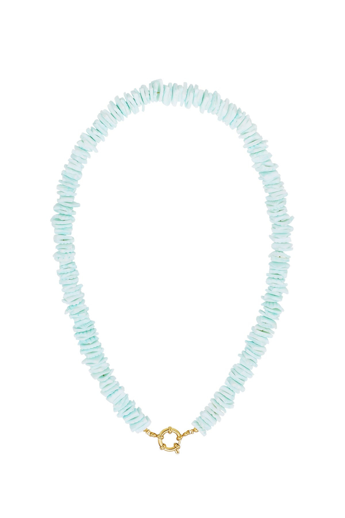Seashell Necklace