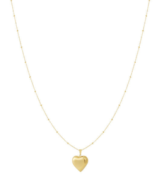 Stainless Steel Pendant necklaces Heart Casual Daily