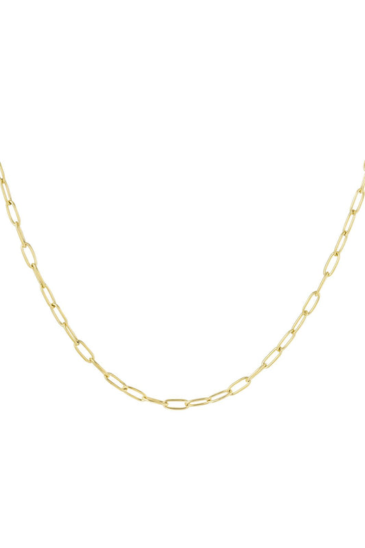 Link chain basic Gold Color Stainless Steel