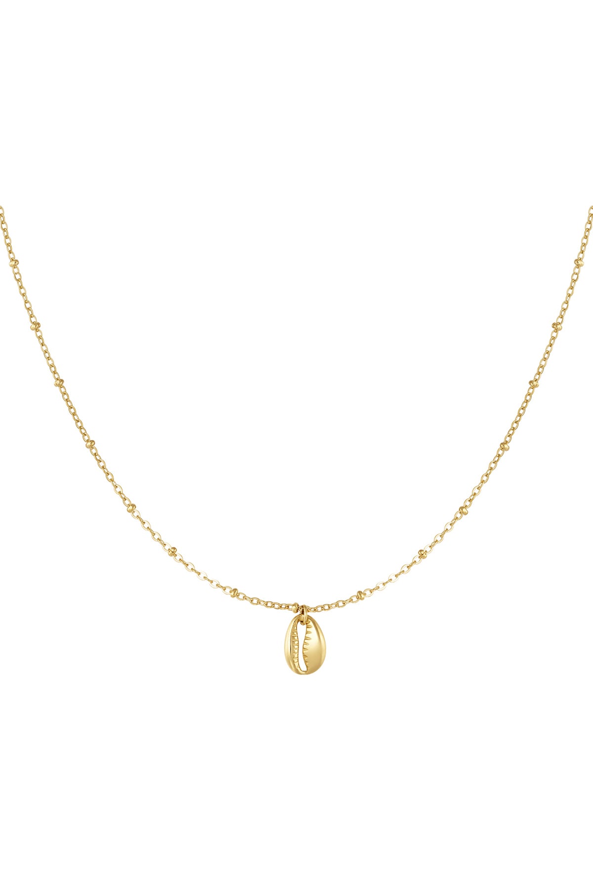 Gliederkette mit Muschel 