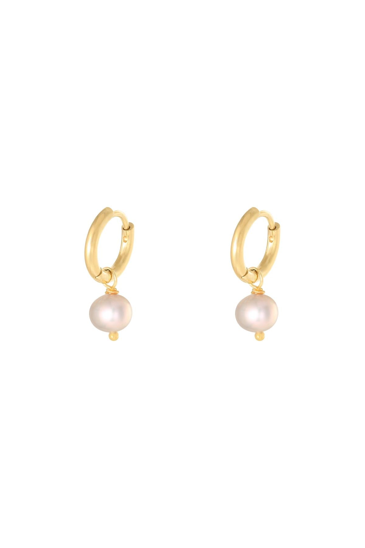 Earrings Pearl Of The Sea Grey Stainless Steel