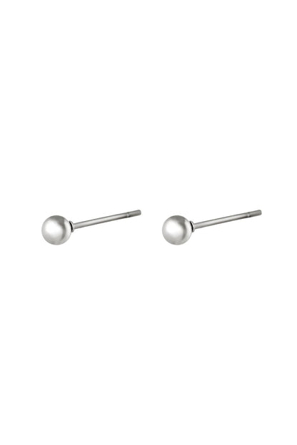 Big Dot Stainless Steel Earrings