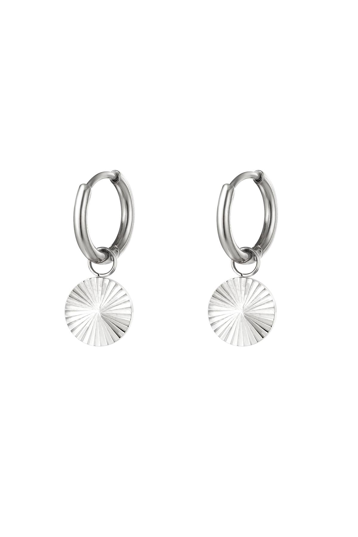 Edelstahlohrringe Kreis Silber