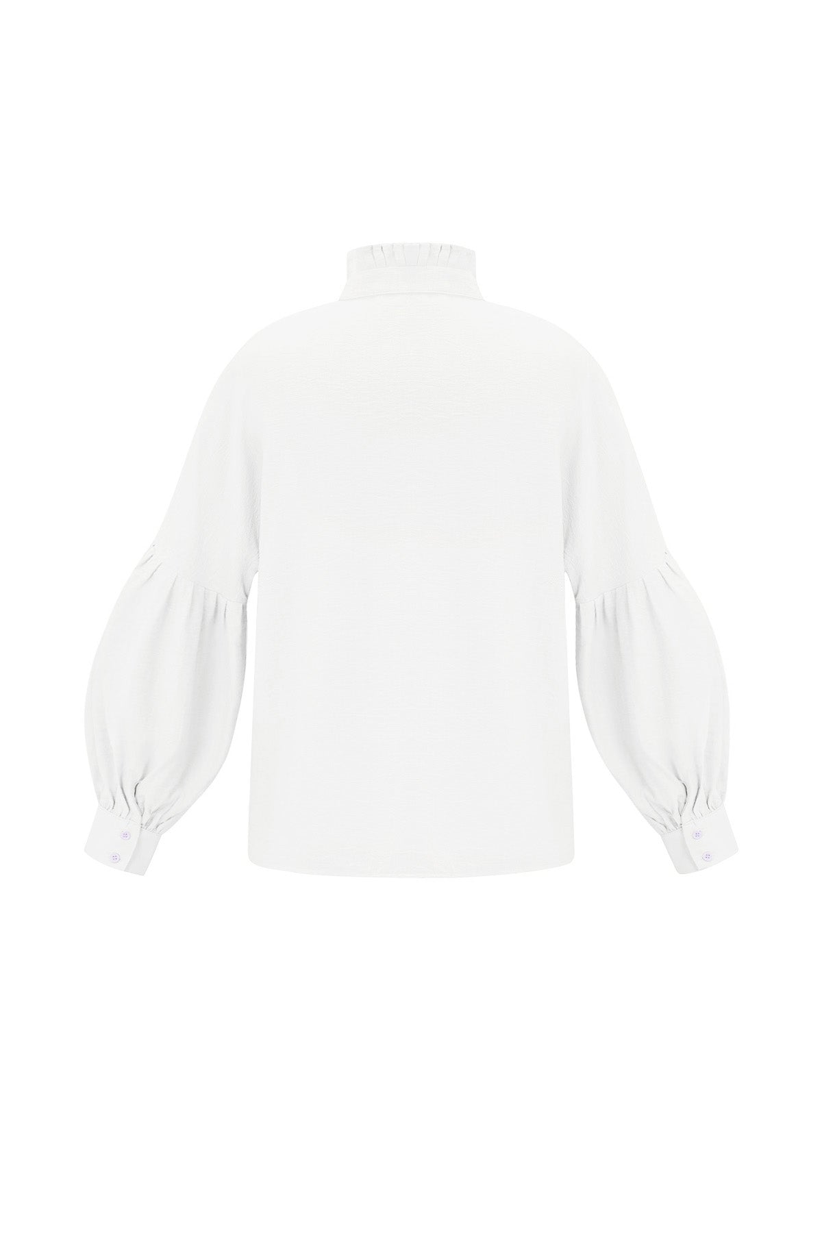 Viscose Women's Blouse Puff Sleeve High Neck