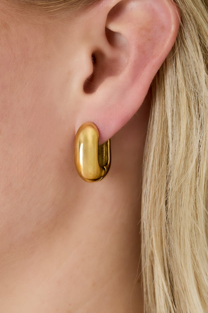   Hoop Earrings irregular shape rectangle Casual Daily Simple Series Women's jewelry