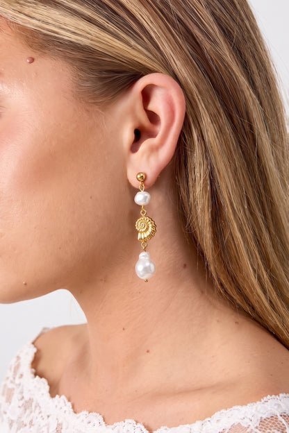 Ohrhänger aus Edelstahl, Muschel, schlichte Alltags-Serie, Damenschmuck