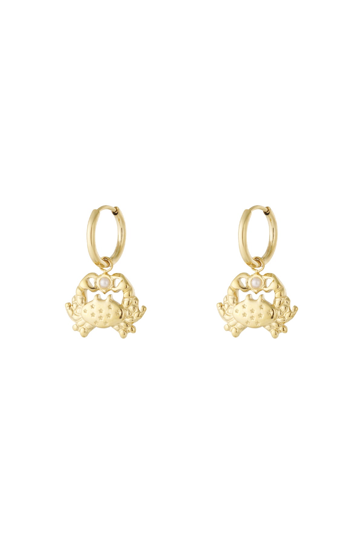   Drop Earrings Animal Casual Daily Simple Series Women's jewelry