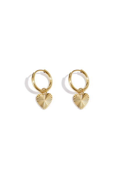 Stainless steel heart earrings