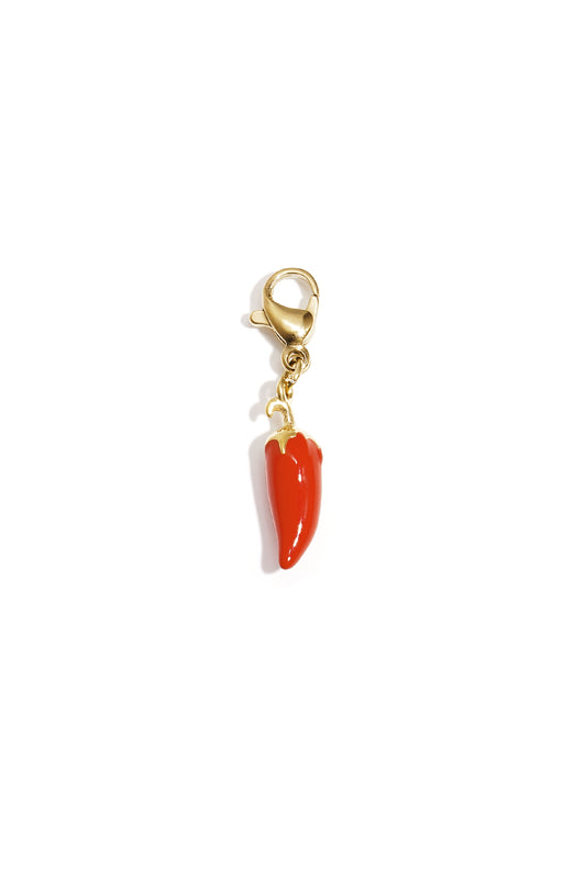 Schmuckanhänger mit scharfer Paprika zum Selbermachen