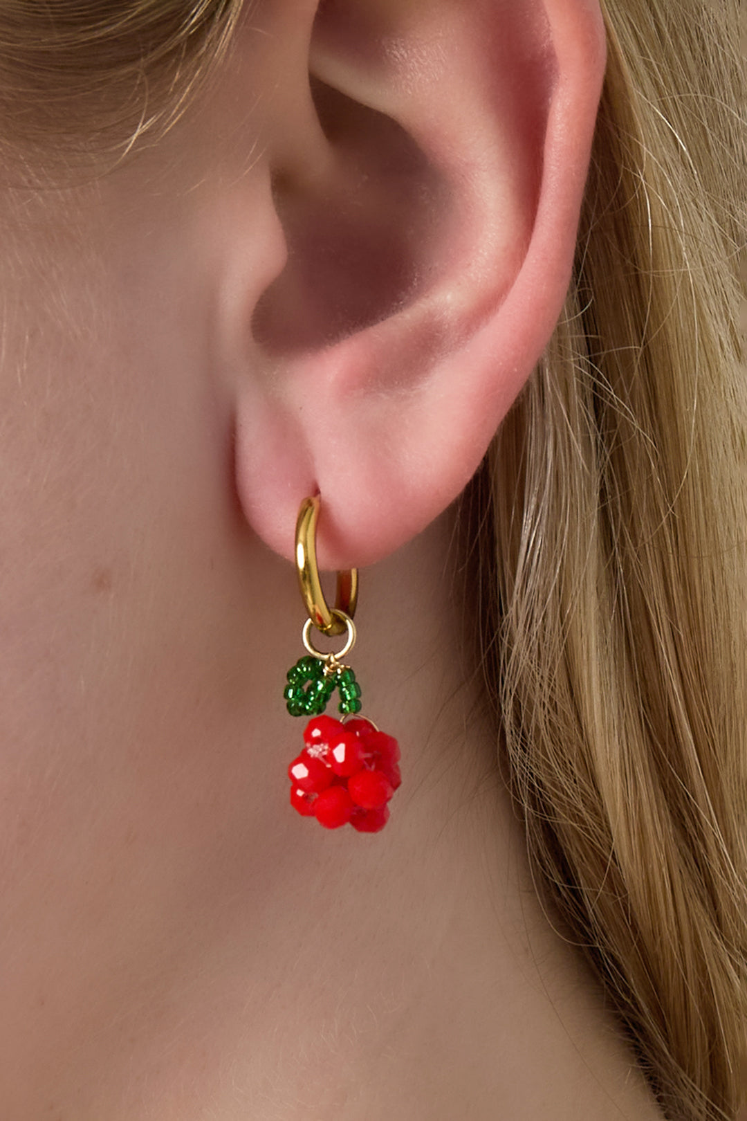 Stainless Steel Drop Earrings Plant Casual Daily  Women's jewelry