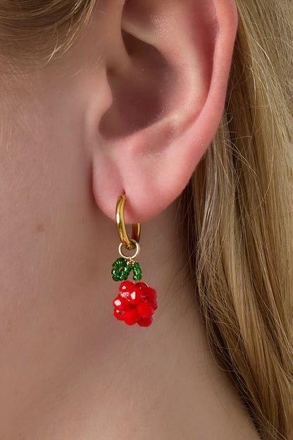 Stainless Steel Drop Earrings Plant Casual Daily  Women's jewelry